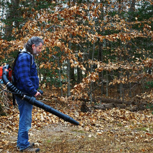 3 popular leaf blowers to clean up your yard with ease