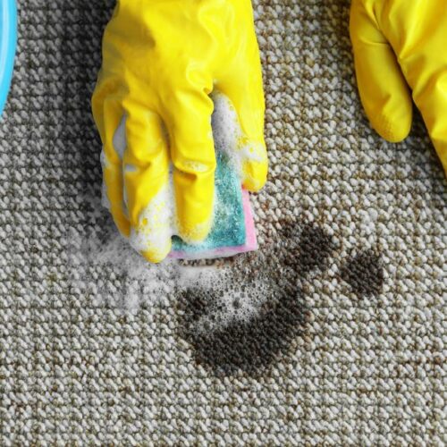 6 easy ideas for best carpet stain removers