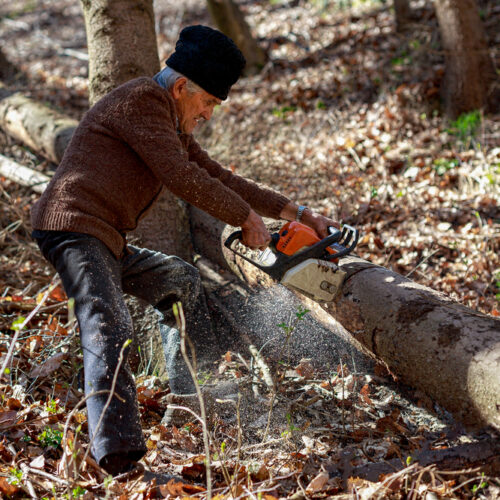 A Guide to Buying the Right Chainsaw