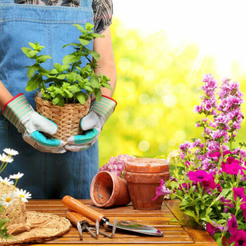 An overview of home-based gardening business