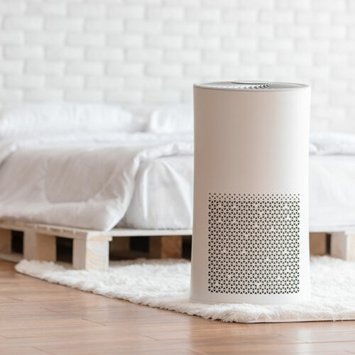 Best Molekule air purifiers of 2021