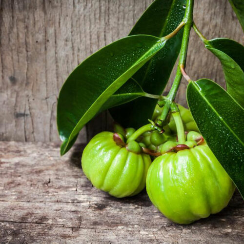 Garcinia cambogia &#8211; Know what you consume