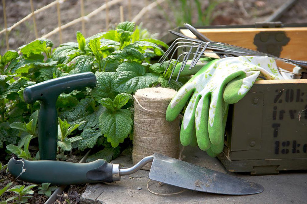 Garden Tools for Gorgeous Outdoors