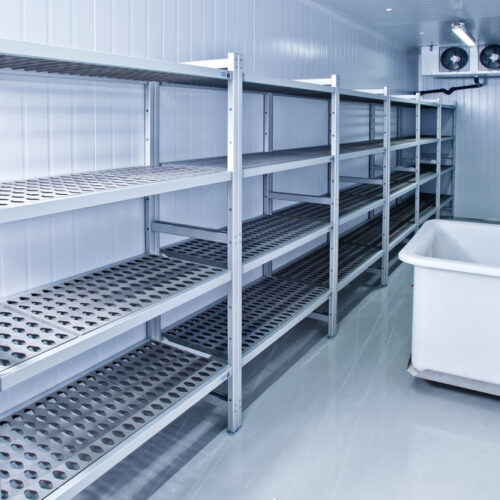 Evolution of Food Storage from Ice Men to Freezers