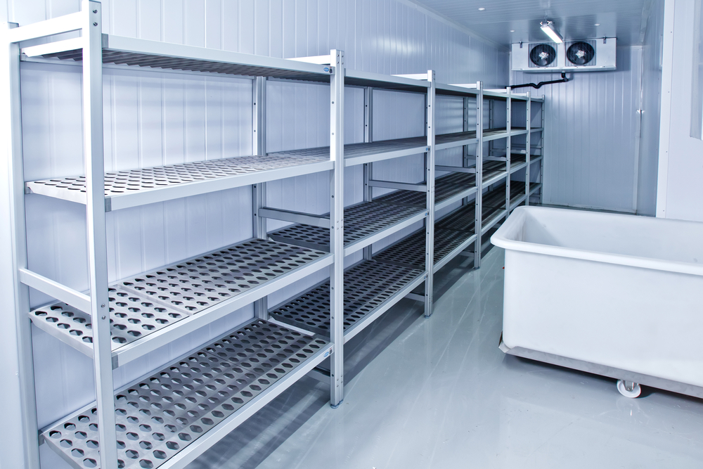 Evolution of Food Storage from Ice Men to Freezers