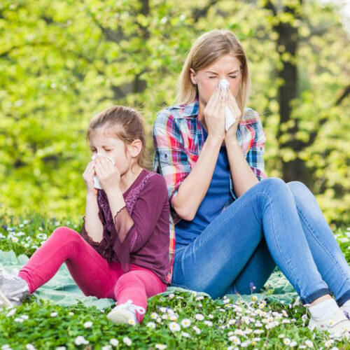 How to prevent pollen allergy