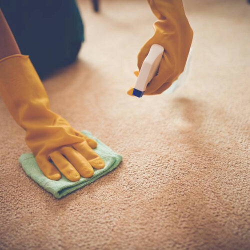 Here&#8217;s why and how to choose the best carpet stain removers