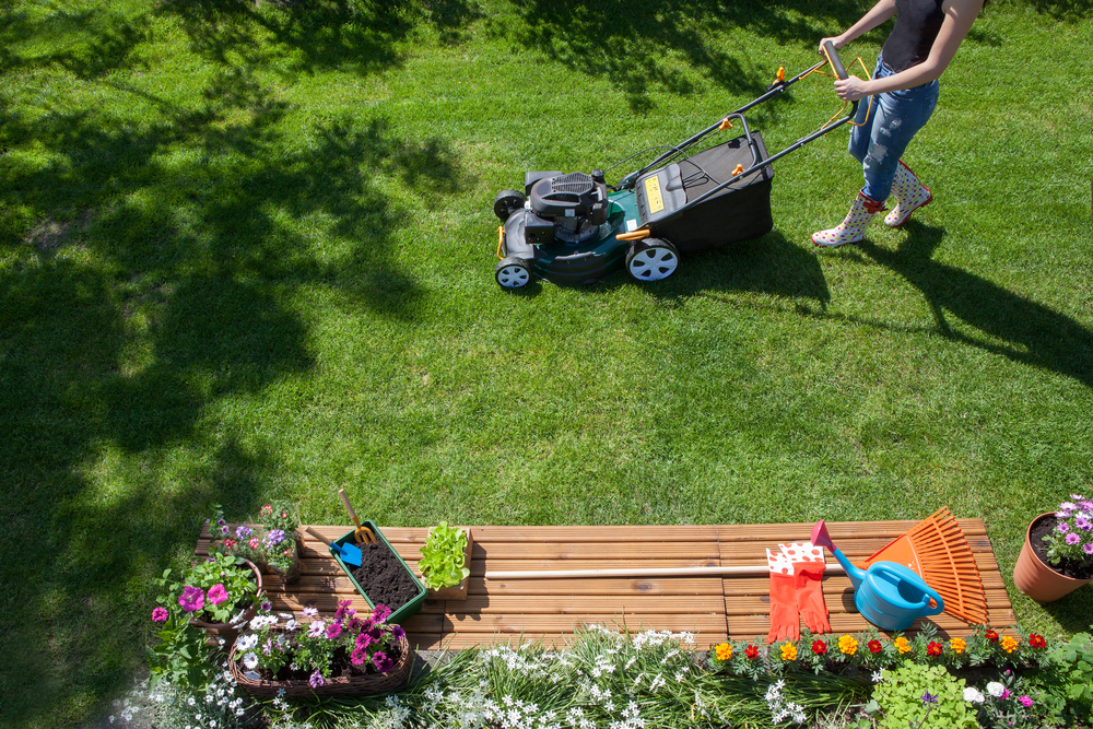 Lawnmowers Worth Buying During Sales