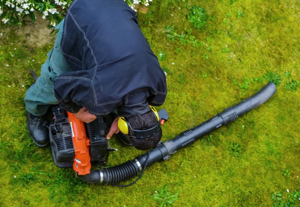 Types of leaf blowers and uses