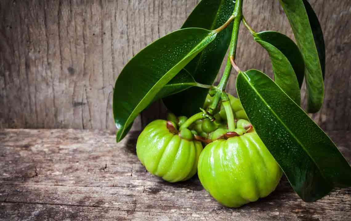 Garcinia &#8211; Its Proposed Benefits and Side Effects