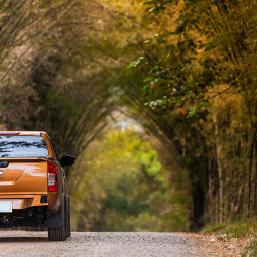 Engine choices for the Ford F-150