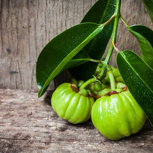 Side Effects of Garcinia Cambogia that You Should Know About