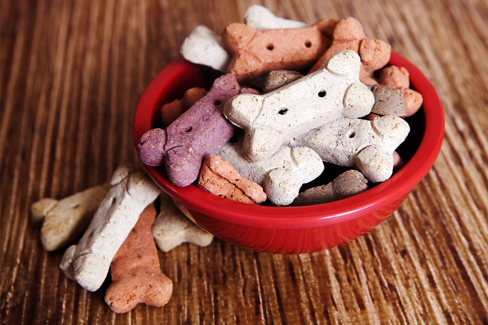 Top 5 best dry pet food brands for dogs