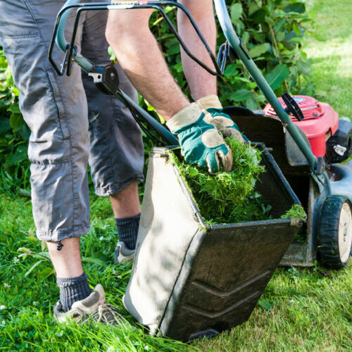 12 Things to Know Before Choosing a Lawn Care Service