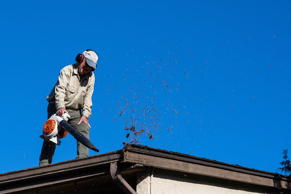 Top 6 Leaf Blowers for Gutter Cleaning